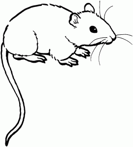 free-animals-mouse-printable-coloring-pages-for-preschool