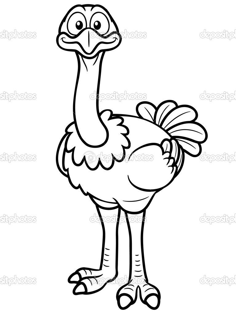 free-animals-ostrich-printable-coloring-pages-for-kids