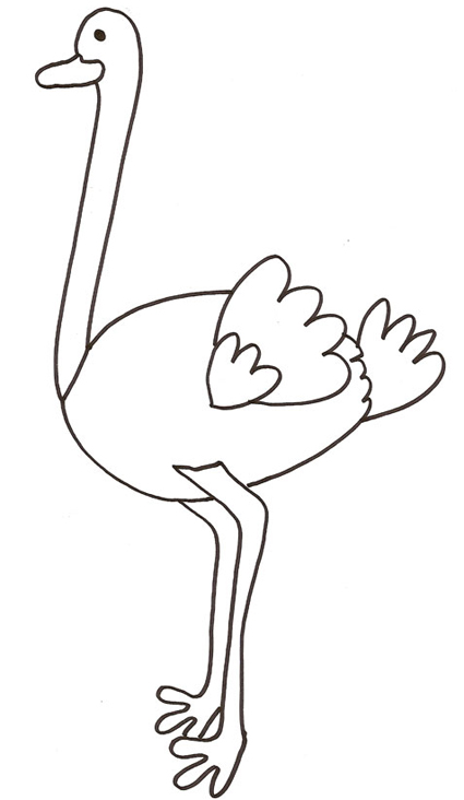 free-animals-ostrich-printable-coloring-pages for-preschool