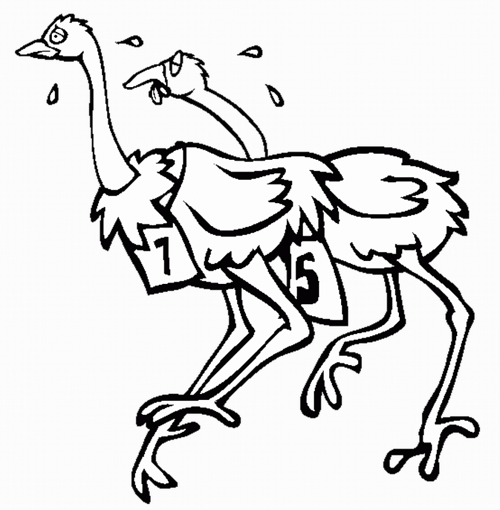 free-animals-ostrichs-printable-coloring-pages-for-preschool