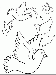 free-animals-pigeon-printable-coloring-preschool