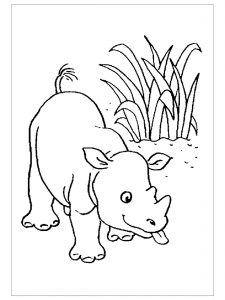 free-animals-printable-coloring-pages-for-preschool