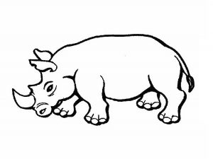 free-animals-rhino-coloring-pages-for-preschool