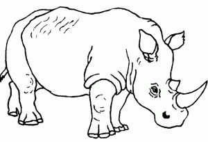 free-animals-rhino-printable-colouring-pages-for-preschool