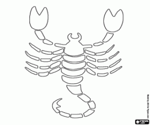 free-animals- scorpion -printable-coloring-pages-for-preschool