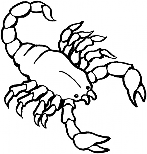 free-animals- scorpion-printable-coloring-pages-for-preschool
