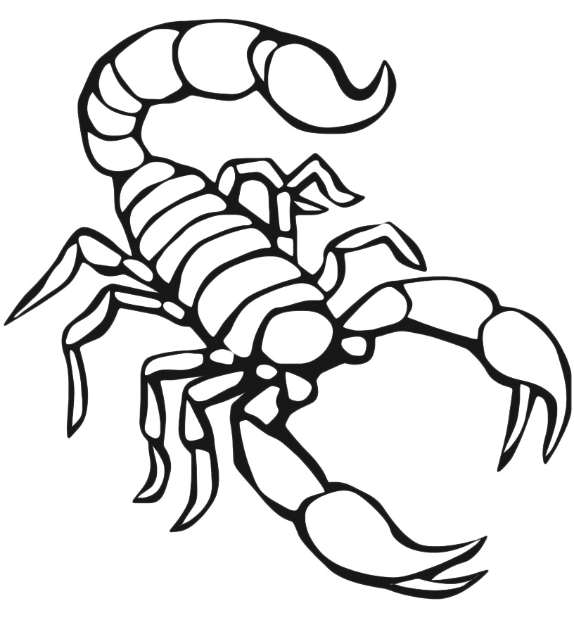free-animals-scorpion-printable-coloring-pages-for-preschool