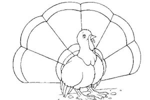 free-animals-turkey-printable-coloring-pages-for-child