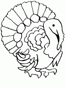 free-animals-turkey -printable-coloring-pages-for-preschool