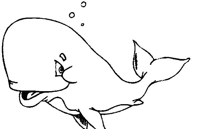 free-animals- whale -printable-coloring-pages-for-preschool