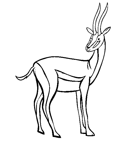 free-antelope-printable-coloring-pages-for-preschool