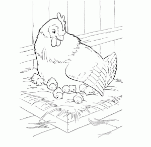 free-cock-printable-coloring-pages-for-preschool