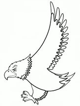 free-doğan-printable-coloring-pages-for-preschool