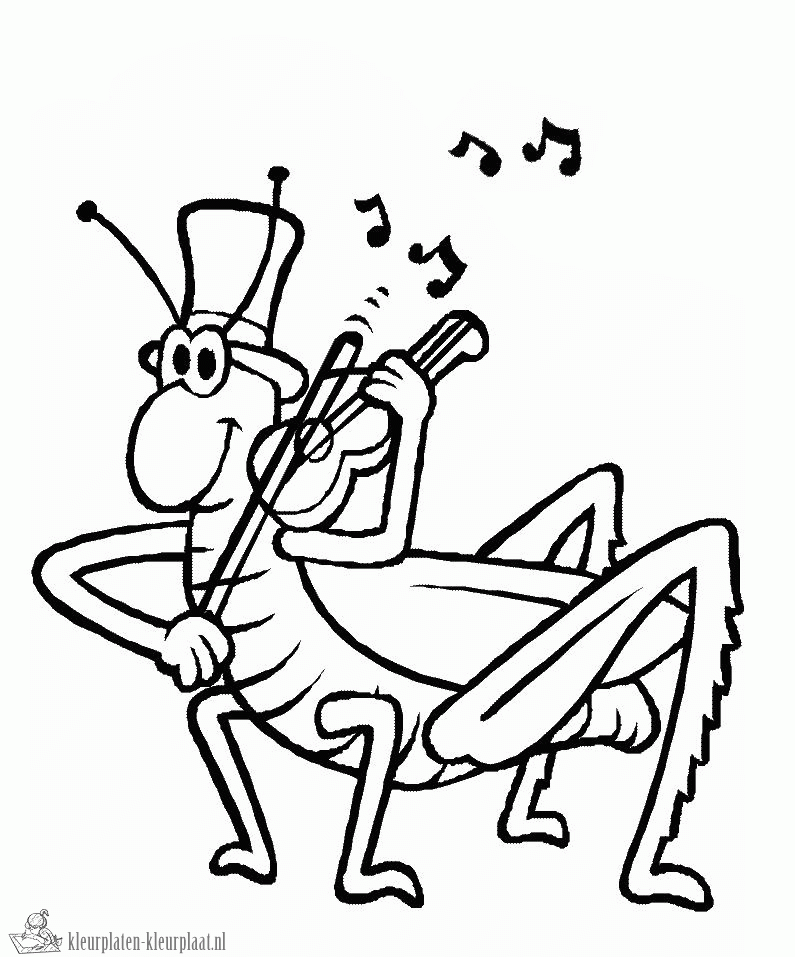 free-grasshopper-printable-coloring-pages-for-preschool