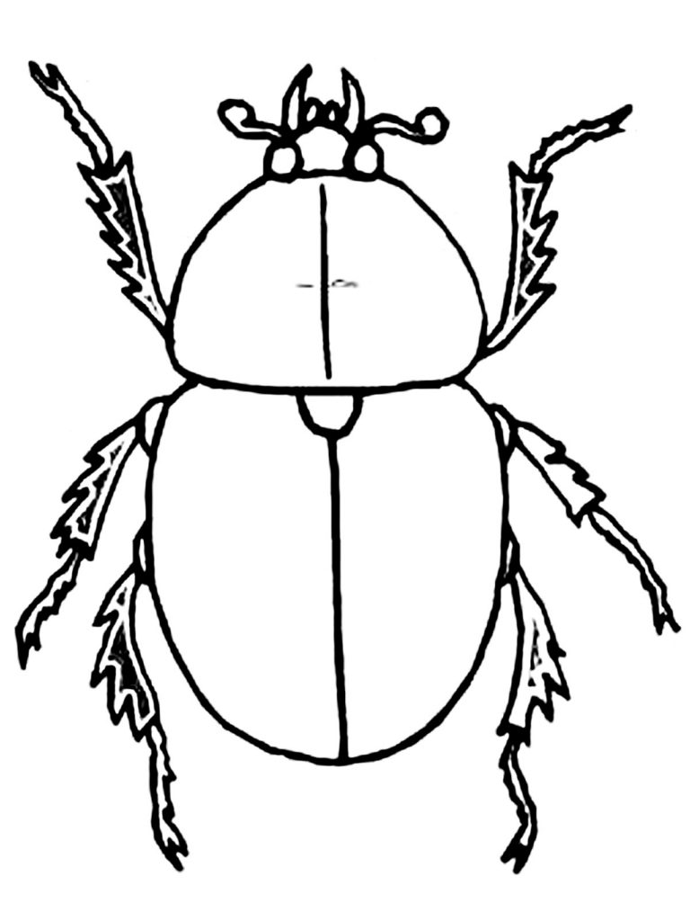 free-grasshopper-printable-colouring-page-for-preschool