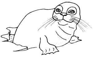 free-monk seal-printable-coloring-pages-for-preschool