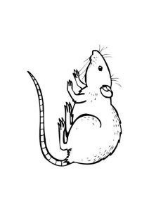 free mouse printable-coloring pages-for-preschool