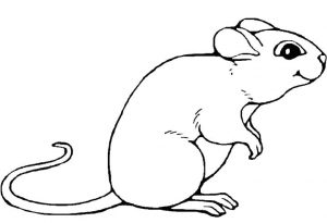 free-mouse printable-coloring-pages-for-preschool