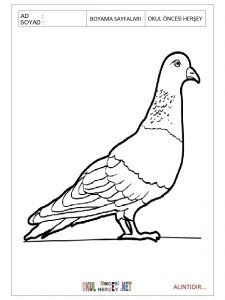free-pigeon-printable-coloring-pages-for-child