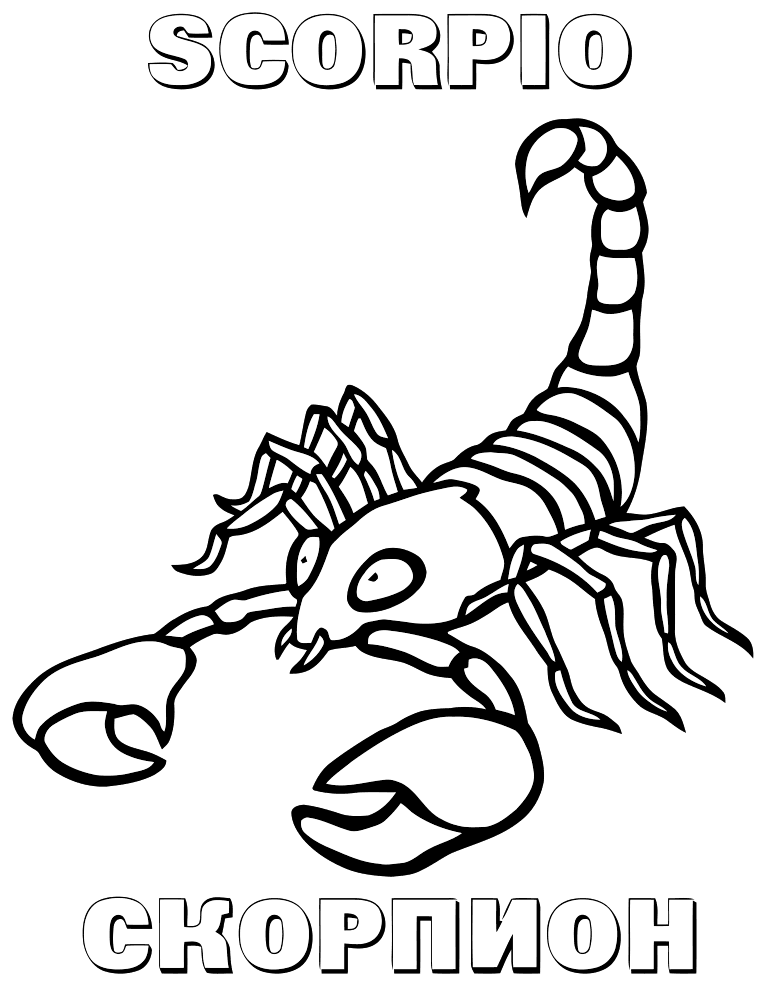 free-scorpion-printable-coloring-pages-for-preschool