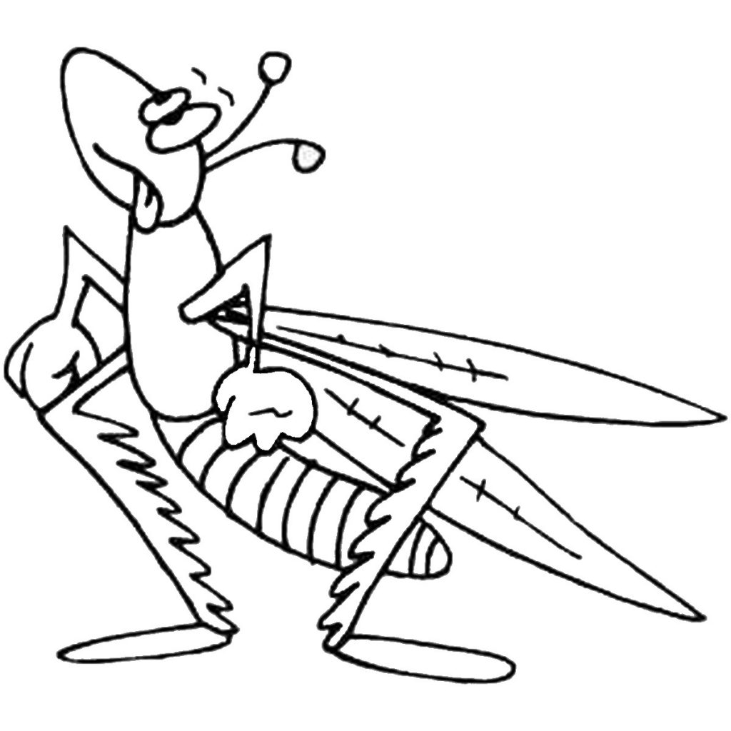 grasshopper-printable-coloring-pages-for-preschool