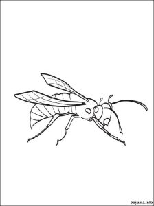 Hornet coloring pages for kindergarten