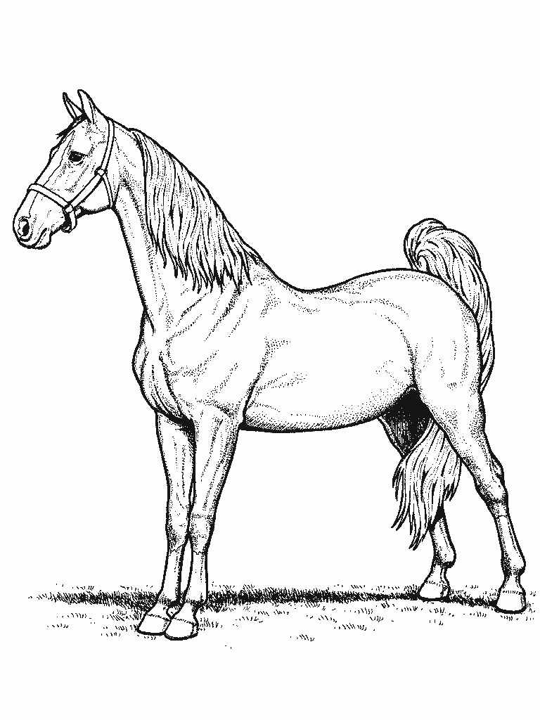 horse-coloring-pages-for-preschool