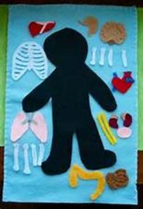 human body craft activity for kids