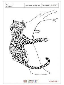 jaguar coloring pages for preschool