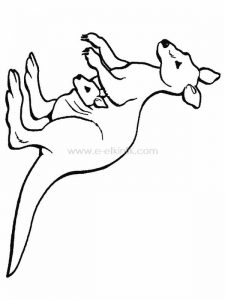 kangaroo coloring pages ideas for preschool