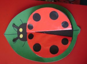 ladybug craft idea