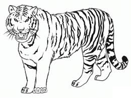 printable Tiger coloring pages ideas for preschool