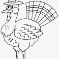 Turkey Coloring Pages for Kids