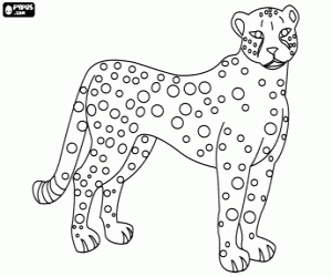 printable jaguar coloring pages for preschool