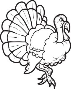 -realistic-turkey-coloring-page