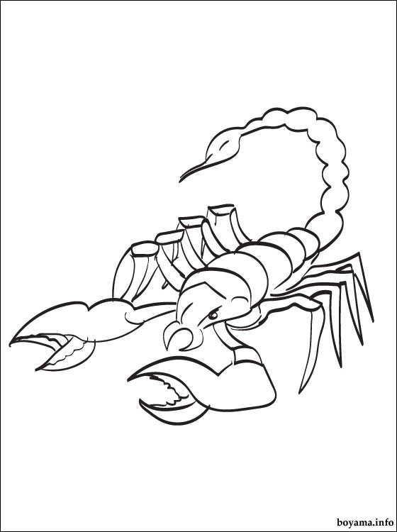 scorpion-colouring-pages