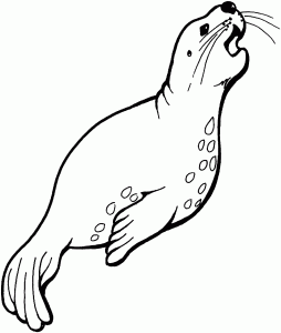 vectorized_seal_black_white_line_art_coloring_pages