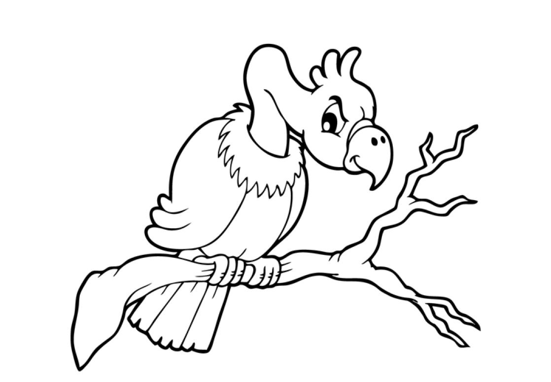vulture coloring-page