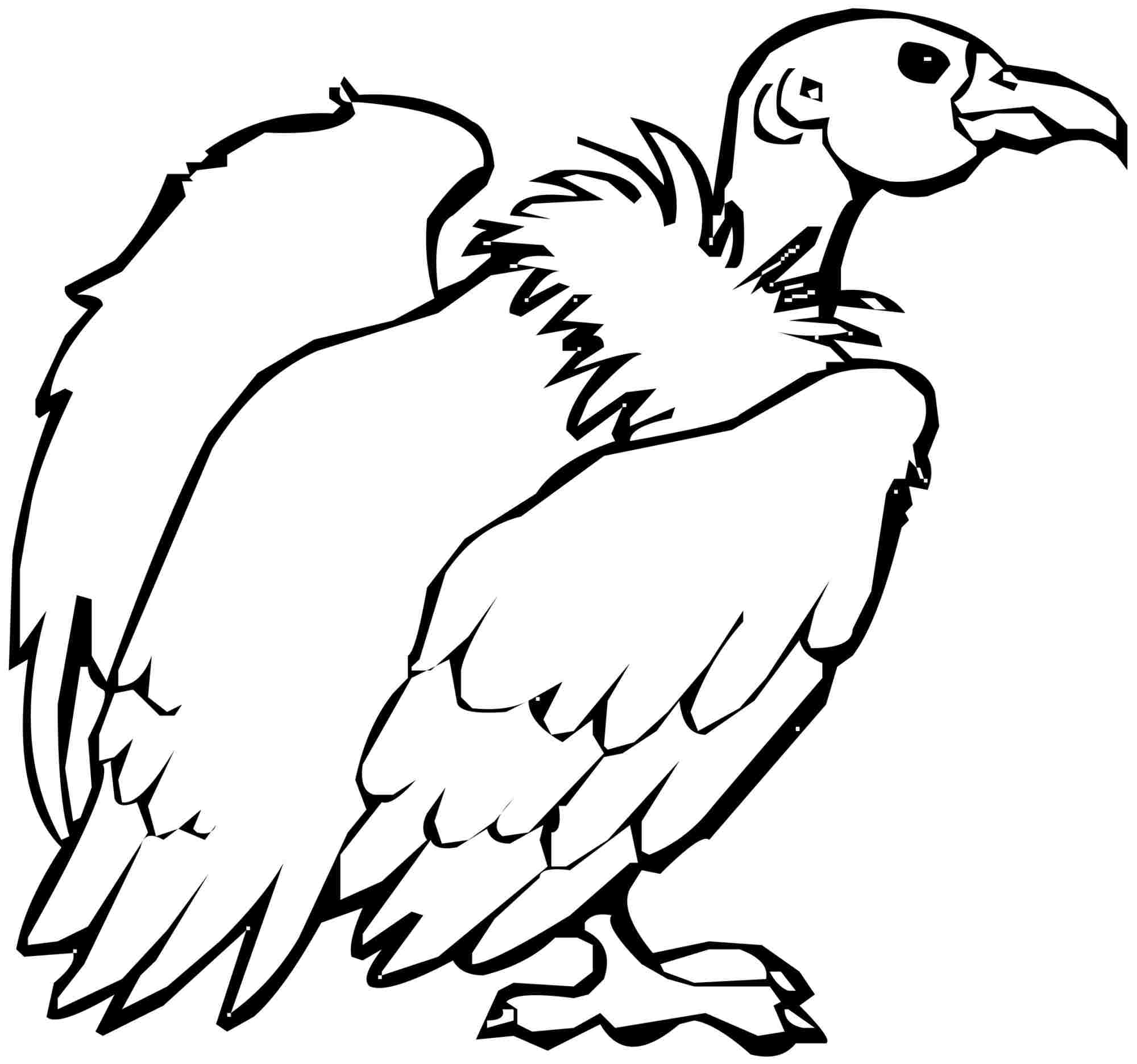 vulture coloring page