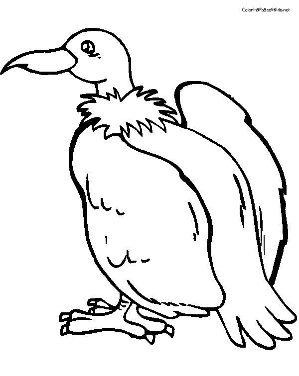 vulture-coloring-pages-for-kids