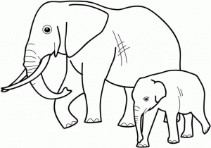 wild-animals-coloring-pages-next-image