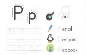 alphabet-capital-and-small-letter-P-p-worksheet-for-kids