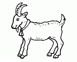 Goat Colouring Pages for kids