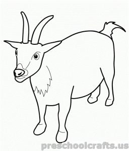 animal Coloring Pages for kids