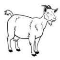 black and white Goat Coloring Pages for kids