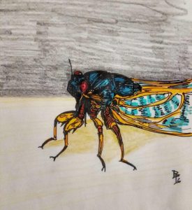 free cicada crafts ideas for kid