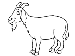 free printable Goat Coloring Pages for pre-school