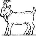 printable Goat Coloring Pages for kids