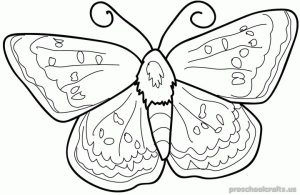 Free–printable-animals-butterfly-coloring-pages-for-first-grade