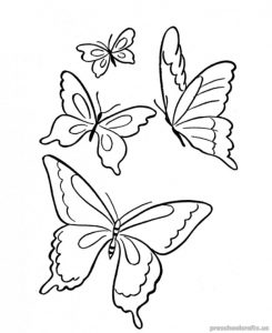 Free–printable-animals butterfly-coloring-pages-for-kids